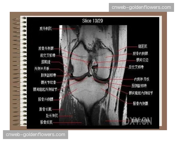康复医学数据平台联动 为运动损伤提供科学干预方案