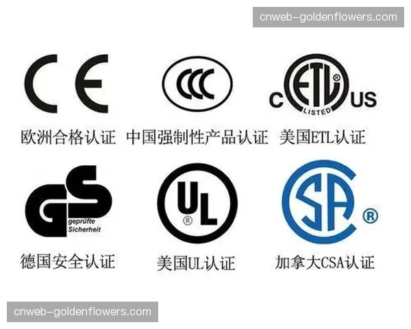 加拿大启动“安全训练”认证计划，规范全国格斗俱乐部的安全标准