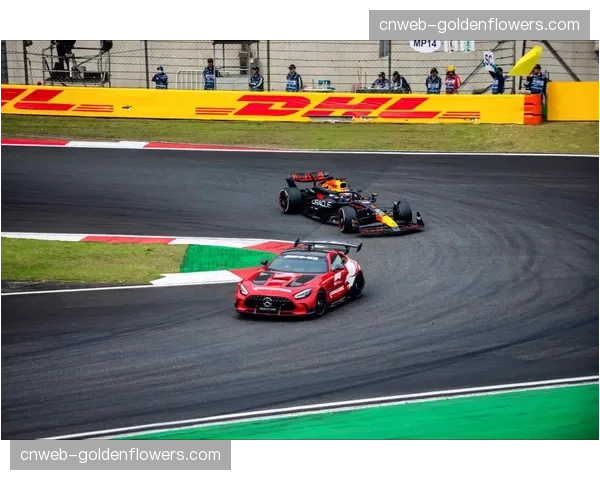 中国大奖赛赛道完成安全升级,新增DRS监测点 中国大奖赛赛道完成安全升级,新增DRS监测点